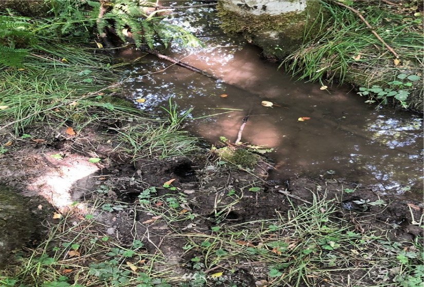 0 Burchett, Onalaska, Washington 98570, ,Land,For Sale,Burchett,NWM1812030