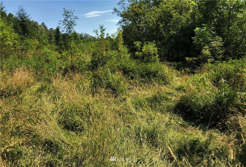 0 Burchett, Onalaska, Washington 98570, ,Land,For Sale,Burchett,NWM1812030