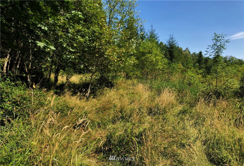 0 Burchett, Onalaska, Washington 98570, ,Land,For Sale,Burchett,NWM1812030