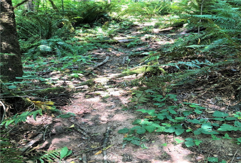 0 Burchett, Onalaska, Washington 98570, ,Land,For Sale,Burchett,NWM1812030