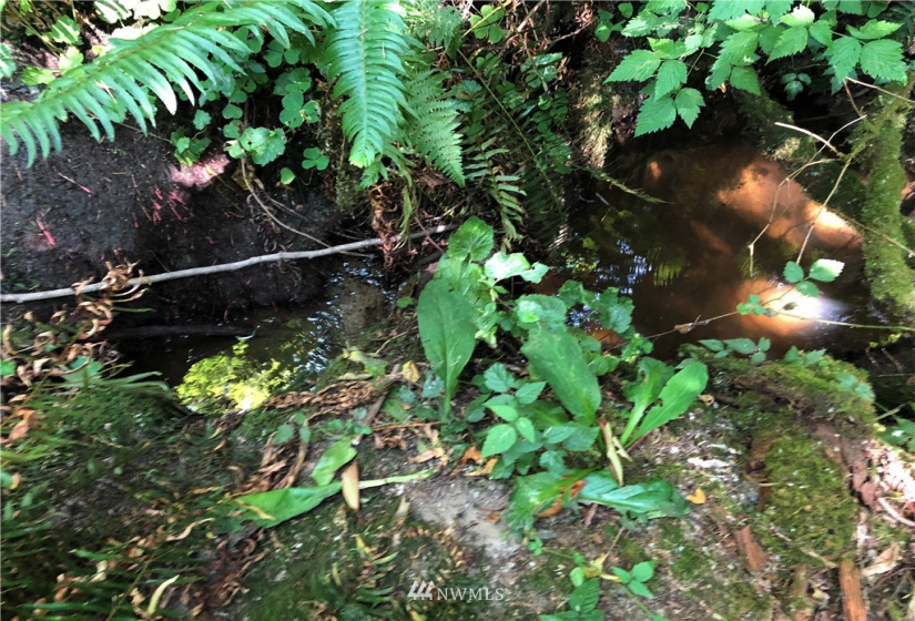 0 Burchett, Onalaska, Washington 98570, ,Land,For Sale,Burchett,NWM1812030