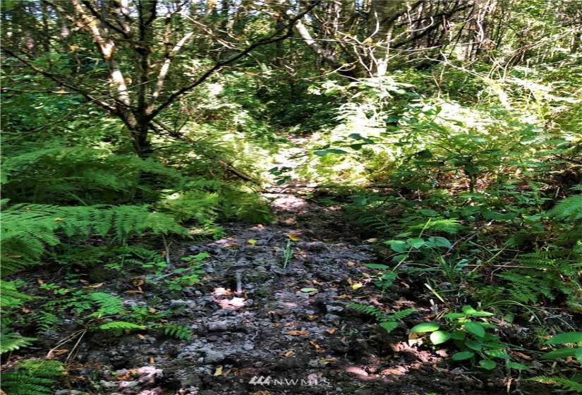 0 Burchett, Onalaska, Washington 98570, ,Land,For Sale,Burchett,NWM1812030