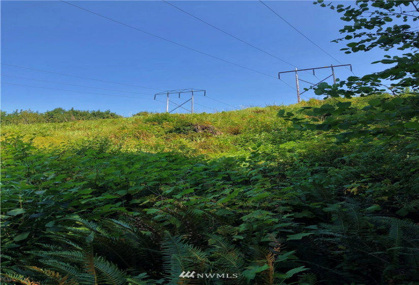 0 Burchett, Onalaska, Washington 98570, ,Land,For Sale,Burchett,NWM1812030