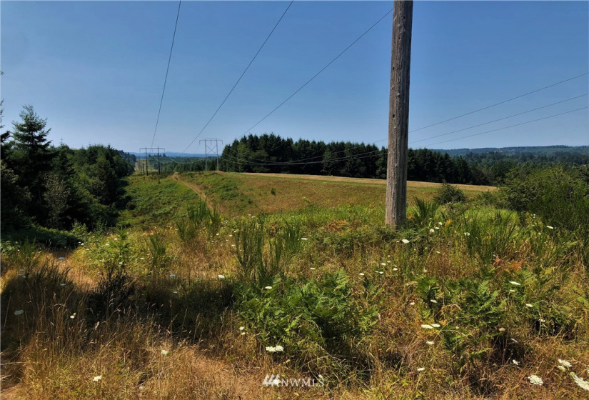 0 Burchett, Onalaska, Washington 98570, ,Land,For Sale,Burchett,NWM1812030