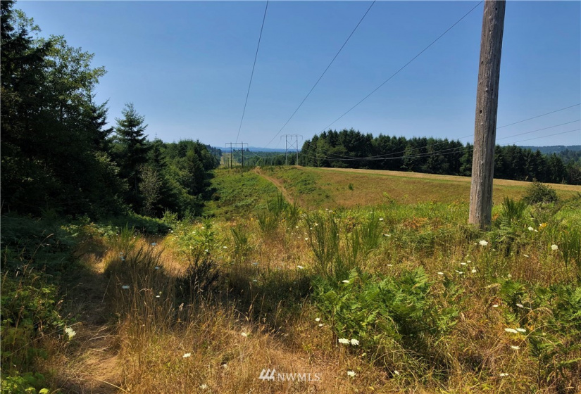 0 Burchett, Onalaska, Washington 98570, ,Land,For Sale,Burchett,NWM1812030
