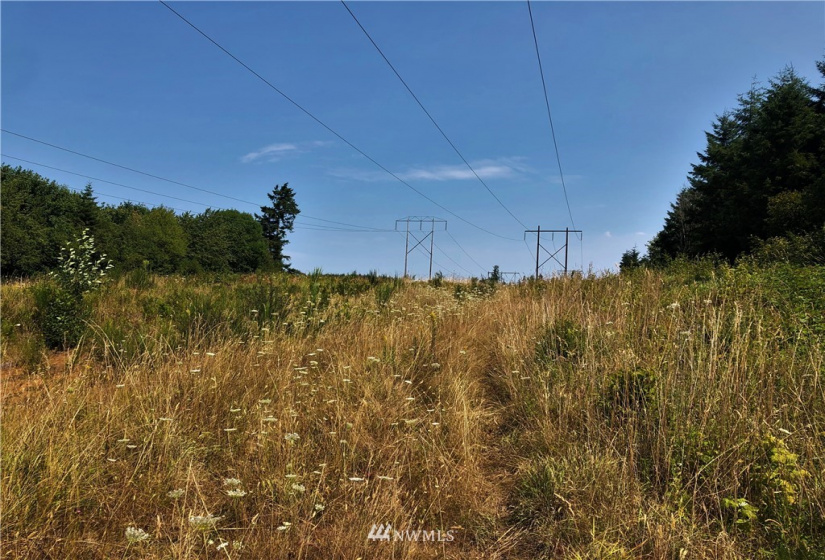 0 Burchett, Onalaska, Washington 98570, ,Land,For Sale,Burchett,NWM1812030