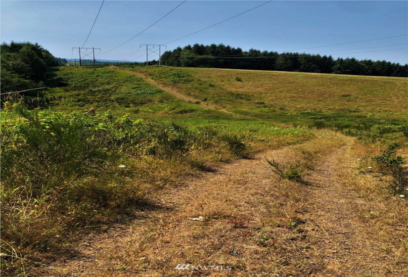 0 Burchett, Onalaska, Washington 98570, ,Land,For Sale,Burchett,NWM1812030