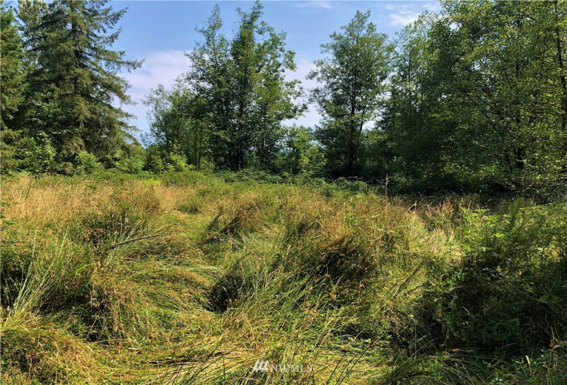 0 Burchett, Onalaska, Washington 98570, ,Land,For Sale,Burchett,NWM1812030