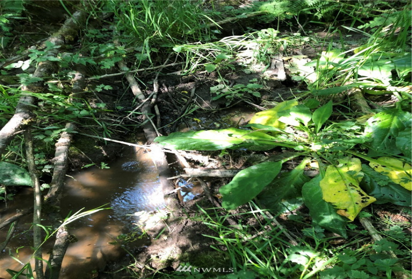 0 Burchett, Onalaska, Washington 98570, ,Land,For Sale,Burchett,NWM1812030