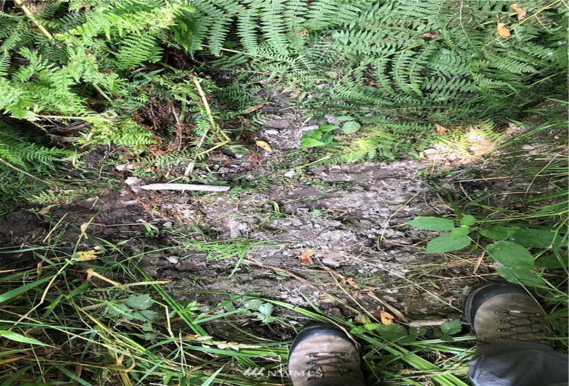 0 Burchett, Onalaska, Washington 98570, ,Land,For Sale,Burchett,NWM1812030