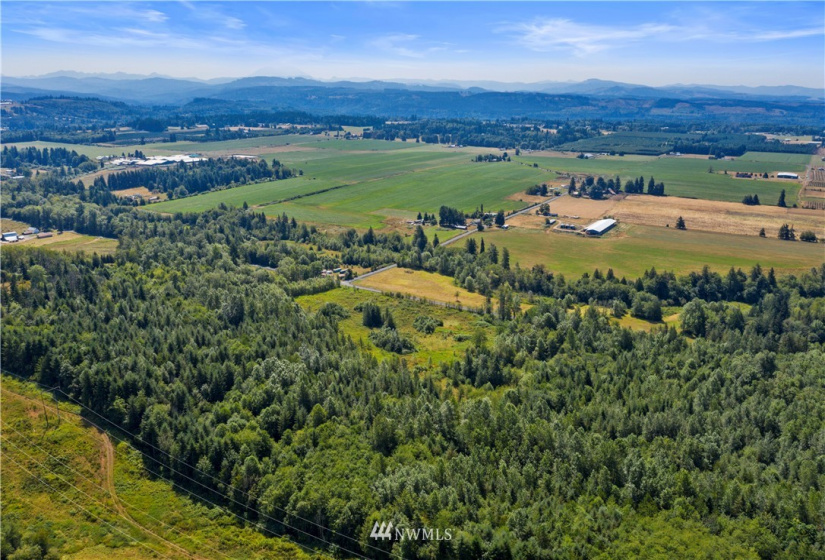 0 Burchett, Onalaska, Washington 98570, ,Land,For Sale,Burchett,NWM1812030