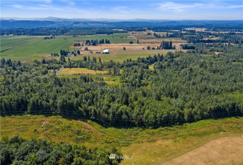 0 Burchett, Onalaska, Washington 98570, ,Land,For Sale,Burchett,NWM1812030