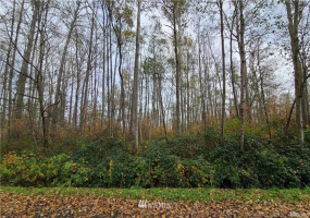 4 Lot Harbor, Bellingham, Washington 98226, ,Land,For Sale,Kel Bay 3,Harbor,NWM1815357