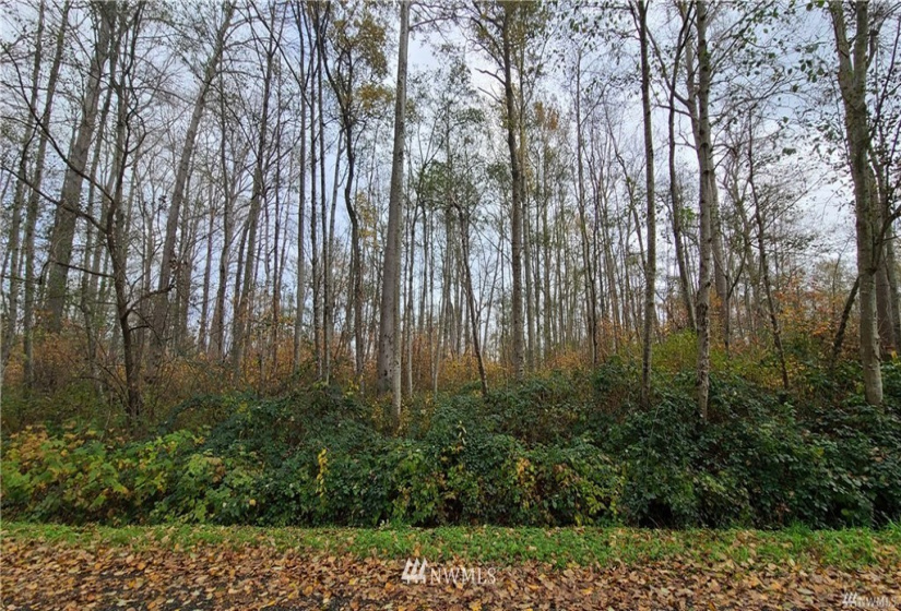 4 Lot Harbor, Bellingham, Washington 98226, ,Land,For Sale,Kel Bay 3,Harbor,NWM1815357