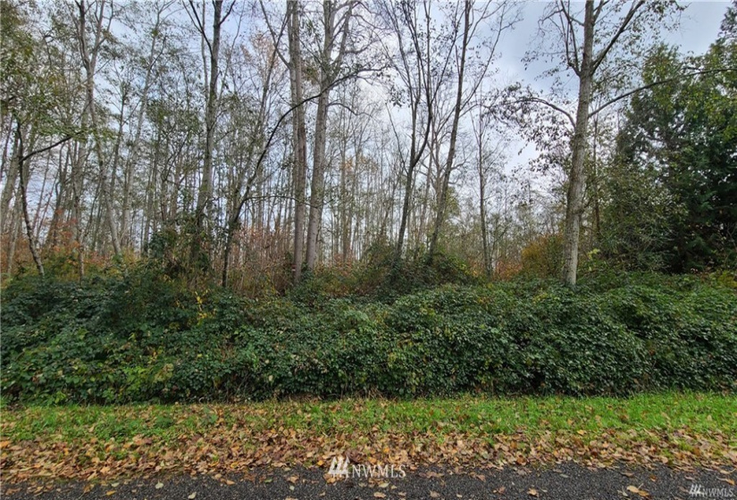 4 Lot Harbor, Bellingham, Washington 98226, ,Land,For Sale,Kel Bay 3,Harbor,NWM1815357