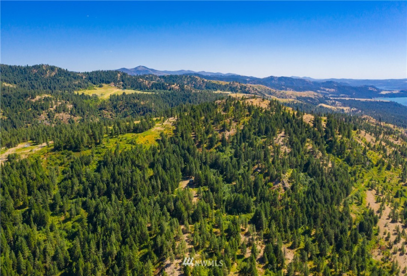 4001 Bissel, Hunters, Washington 99137, ,Land,For Sale,Bissel,NWM1818083