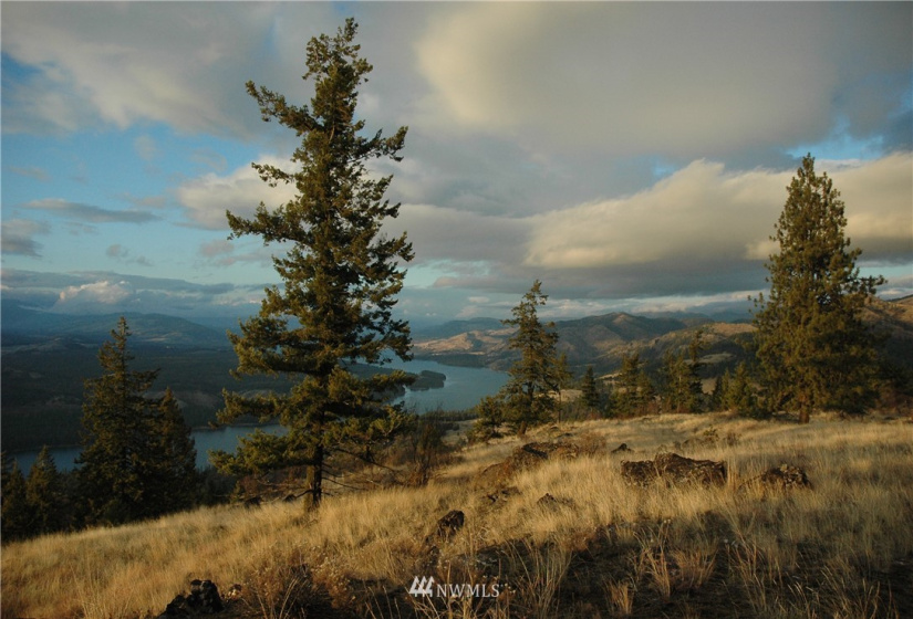 4001 Bissel, Hunters, Washington 99137, ,Land,For Sale,Bissel,NWM1818083