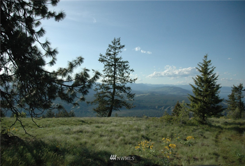 4001 Bissel, Hunters, Washington 99137, ,Land,For Sale,Bissel,NWM1818083