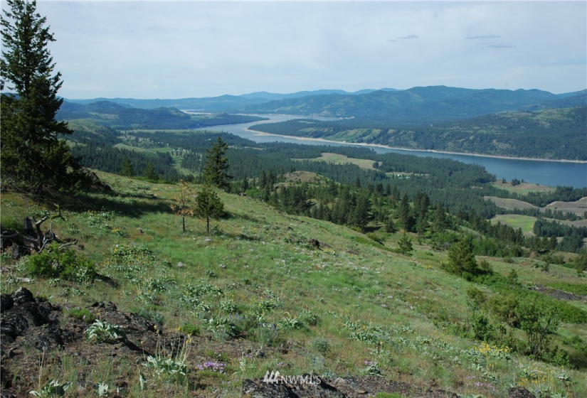 4001 Bissel, Hunters, Washington 99137, ,Land,For Sale,Bissel,NWM1818083