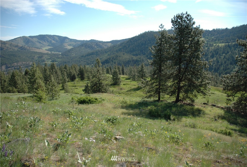 4001 Bissel, Hunters, Washington 99137, ,Land,For Sale,Bissel,NWM1818083