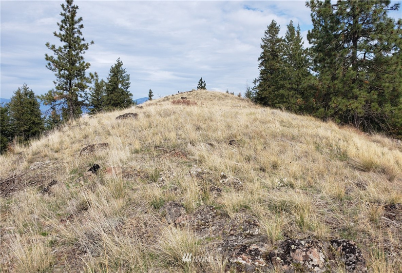 4001 Bissel, Hunters, Washington 99137, ,Land,For Sale,Bissel,NWM1818083