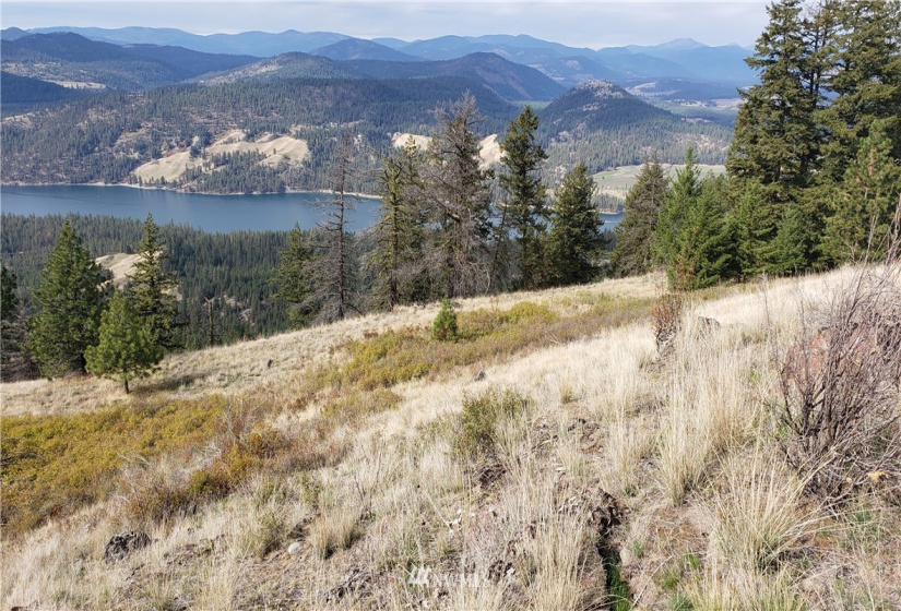 4001 Bissel, Hunters, Washington 99137, ,Land,For Sale,Bissel,NWM1818083