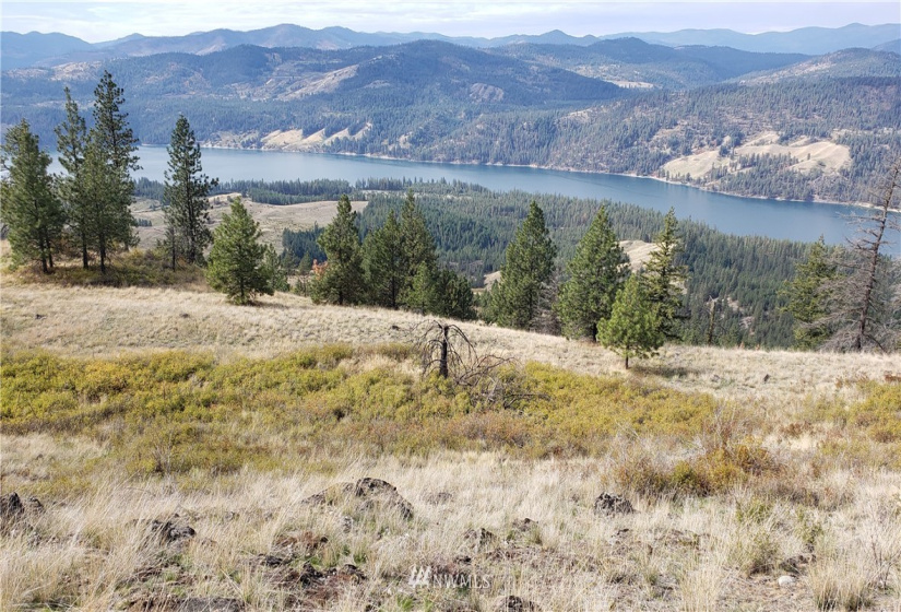 4001 Bissel, Hunters, Washington 99137, ,Land,For Sale,Bissel,NWM1818083