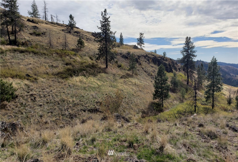 4001 Bissel, Hunters, Washington 99137, ,Land,For Sale,Bissel,NWM1818083