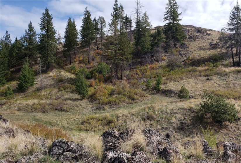 4001 Bissel, Hunters, Washington 99137, ,Land,For Sale,Bissel,NWM1818083