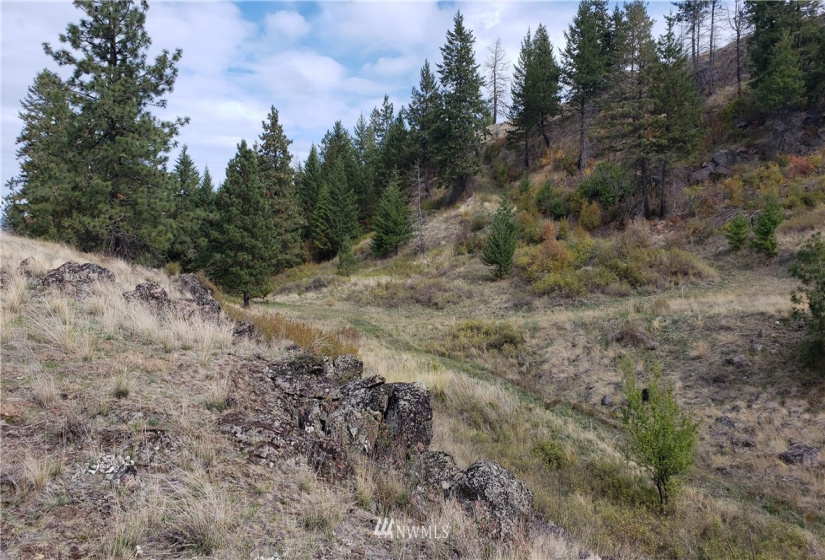 4001 Bissel, Hunters, Washington 99137, ,Land,For Sale,Bissel,NWM1818083