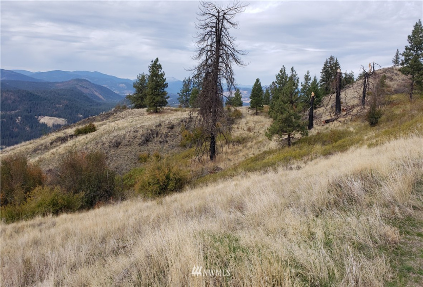 4001 Bissel, Hunters, Washington 99137, ,Land,For Sale,Bissel,NWM1818083