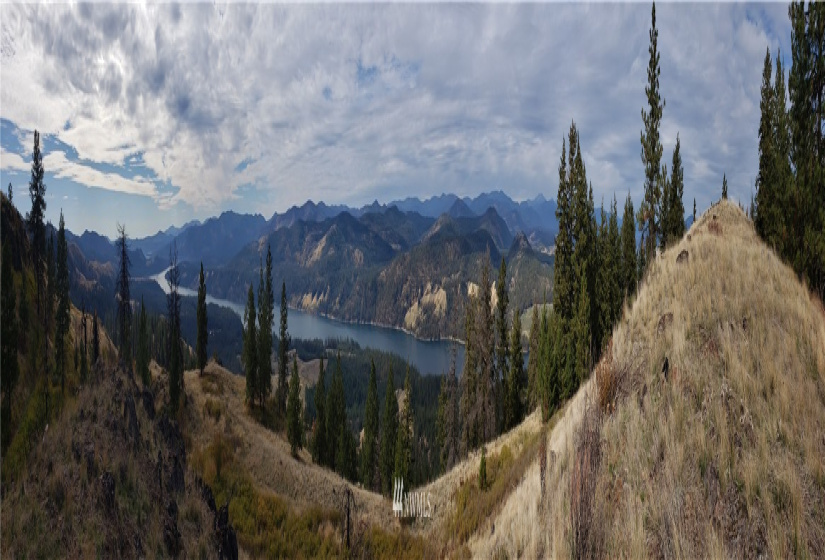 4001 Bissel, Hunters, Washington 99137, ,Land,For Sale,Bissel,NWM1818083