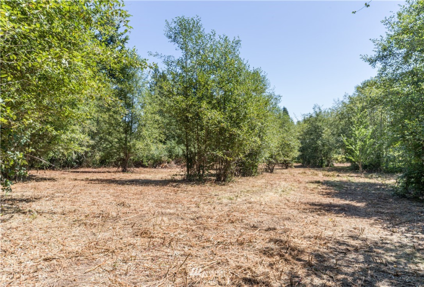 0 Slippery Pig, Poulsbo, Washington 98370, ,Land,For Sale,Slippery Pig,NWM1818076