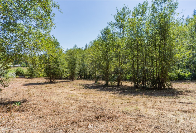 0 Slippery Pig, Poulsbo, Washington 98370, ,Land,For Sale,Slippery Pig,NWM1818076