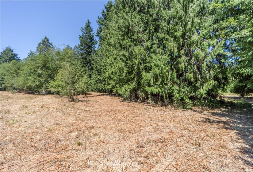 0 Slippery Pig, Poulsbo, Washington 98370, ,Land,For Sale,Slippery Pig,NWM1818076