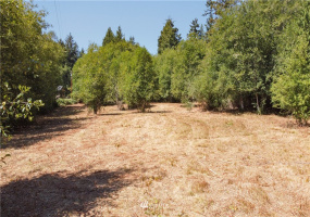0 Slippery Pig, Poulsbo, Washington 98370, ,Land,For Sale,Slippery Pig,NWM1818076