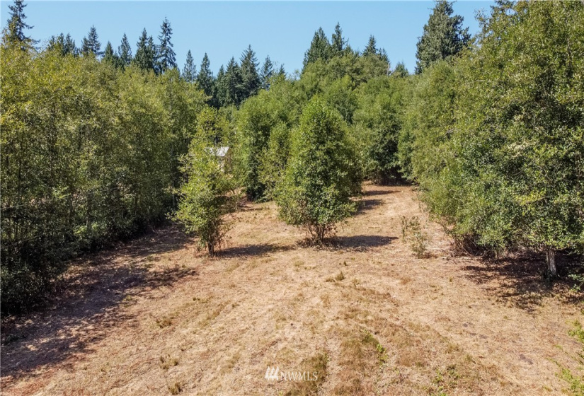 0 Slippery Pig, Poulsbo, Washington 98370, ,Land,For Sale,Slippery Pig,NWM1818076