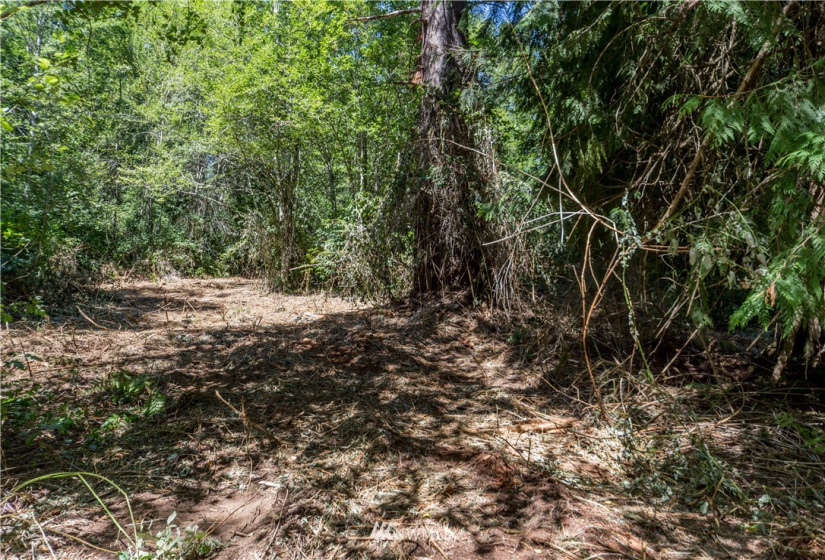 0 Slippery Pig, Poulsbo, Washington 98370, ,Land,For Sale,Slippery Pig,NWM1818076