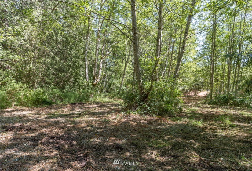 0 Slippery Pig, Poulsbo, Washington 98370, ,Land,For Sale,Slippery Pig,NWM1818076