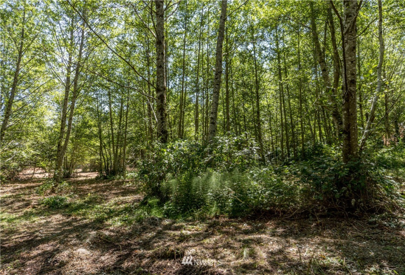 0 Slippery Pig, Poulsbo, Washington 98370, ,Land,For Sale,Slippery Pig,NWM1818076