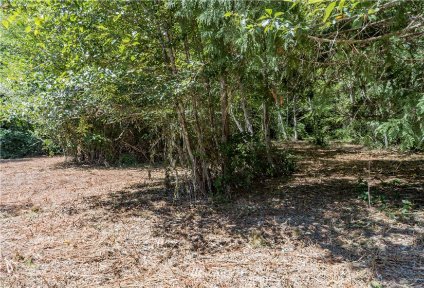 0 Slippery Pig, Poulsbo, Washington 98370, ,Land,For Sale,Slippery Pig,NWM1818076