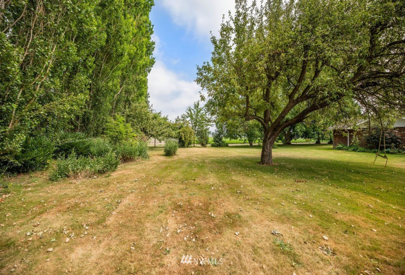 14419 T Loop, Bow, Washington 98232, 4 Bedrooms Bedrooms, ,1 BathroomBathrooms,Farm,For Sale,T Loop,NWM1818094