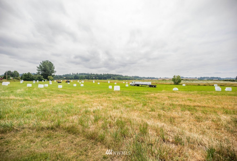 14419 T Loop, Bow, Washington 98232, 4 Bedrooms Bedrooms, ,1 BathroomBathrooms,Farm,For Sale,T Loop,NWM1818094