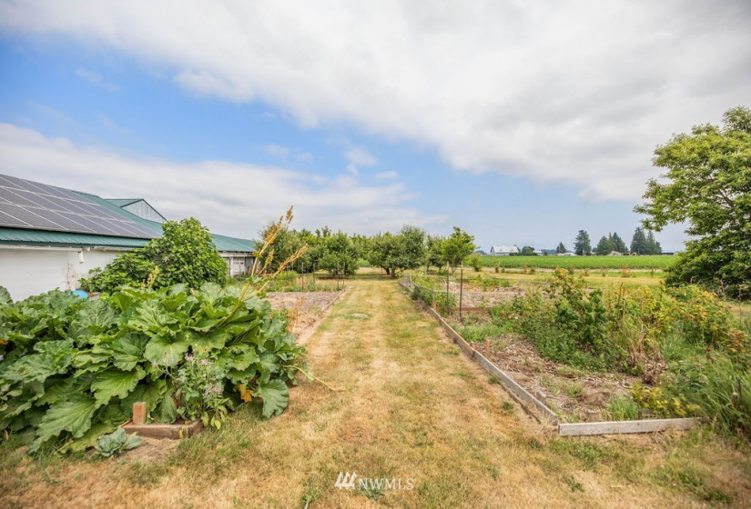 14419 T Loop, Bow, Washington 98232, 4 Bedrooms Bedrooms, ,1 BathroomBathrooms,Farm,For Sale,T Loop,NWM1818094