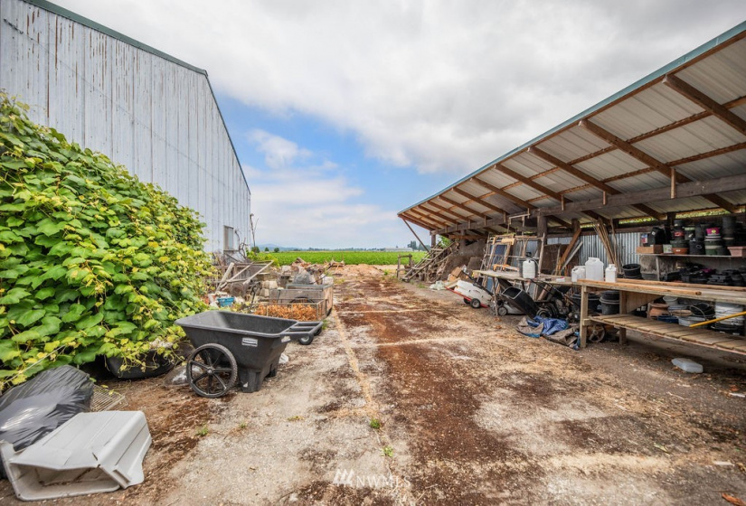 14419 T Loop, Bow, Washington 98232, 4 Bedrooms Bedrooms, ,1 BathroomBathrooms,Farm,For Sale,T Loop,NWM1818094