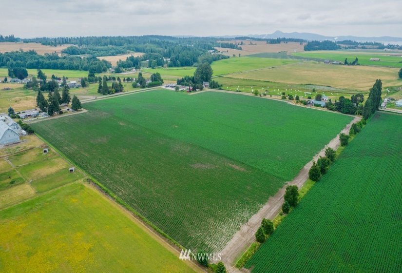 14419 T Loop, Bow, Washington 98232, 4 Bedrooms Bedrooms, ,1 BathroomBathrooms,Farm,For Sale,T Loop,NWM1818094