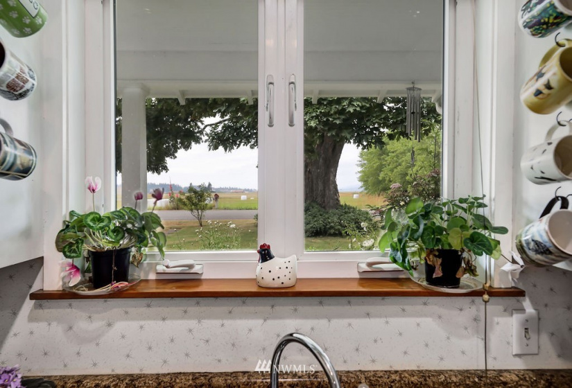 14419 T Loop, Bow, Washington 98232, 4 Bedrooms Bedrooms, ,1 BathroomBathrooms,Farm,For Sale,T Loop,NWM1818094