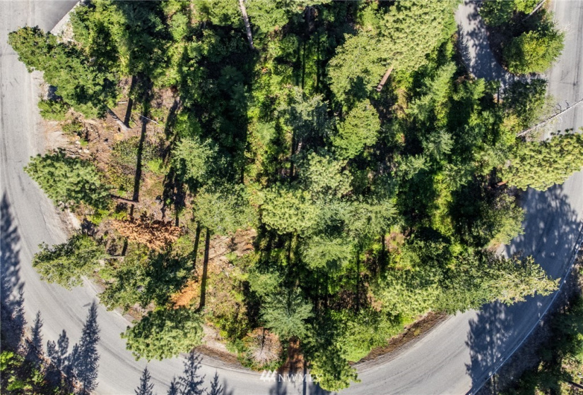 6768 Forest Ridge, Wenatchee, Washington 98801, 4 Bedrooms Bedrooms, ,3 BathroomsBathrooms,Residential,For Sale,Forest Ridge Heights,Forest Ridge,NWM1817860