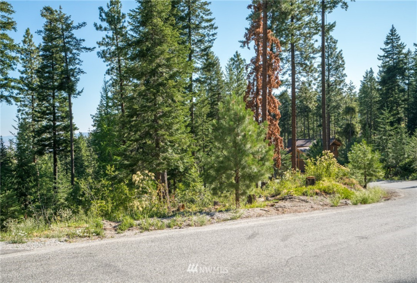 6768 Forest Ridge, Wenatchee, Washington 98801, 4 Bedrooms Bedrooms, ,3 BathroomsBathrooms,Residential,For Sale,Forest Ridge Heights,Forest Ridge,NWM1817860