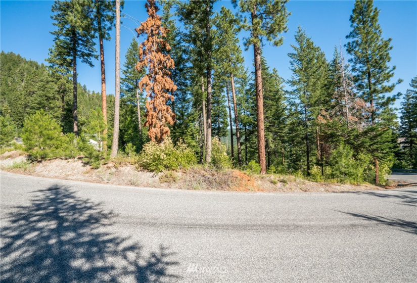 6768 Forest Ridge, Wenatchee, Washington 98801, 4 Bedrooms Bedrooms, ,3 BathroomsBathrooms,Residential,For Sale,Forest Ridge Heights,Forest Ridge,NWM1817860